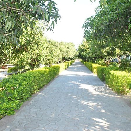 Gir Jungle Lodge Sasan Gir Buitenkant foto