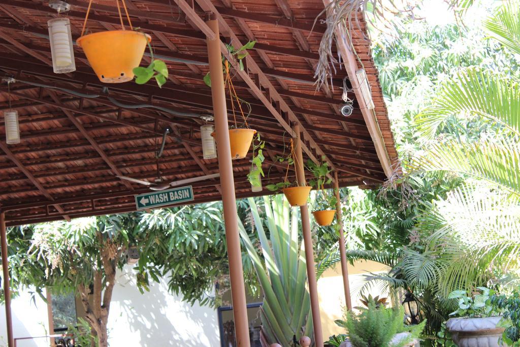 Gir Jungle Lodge Sasan Gir Buitenkant foto