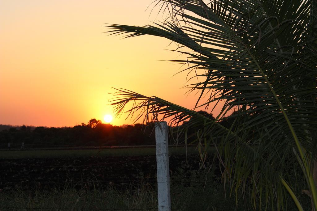 Gir Jungle Lodge Sasan Gir Buitenkant foto
